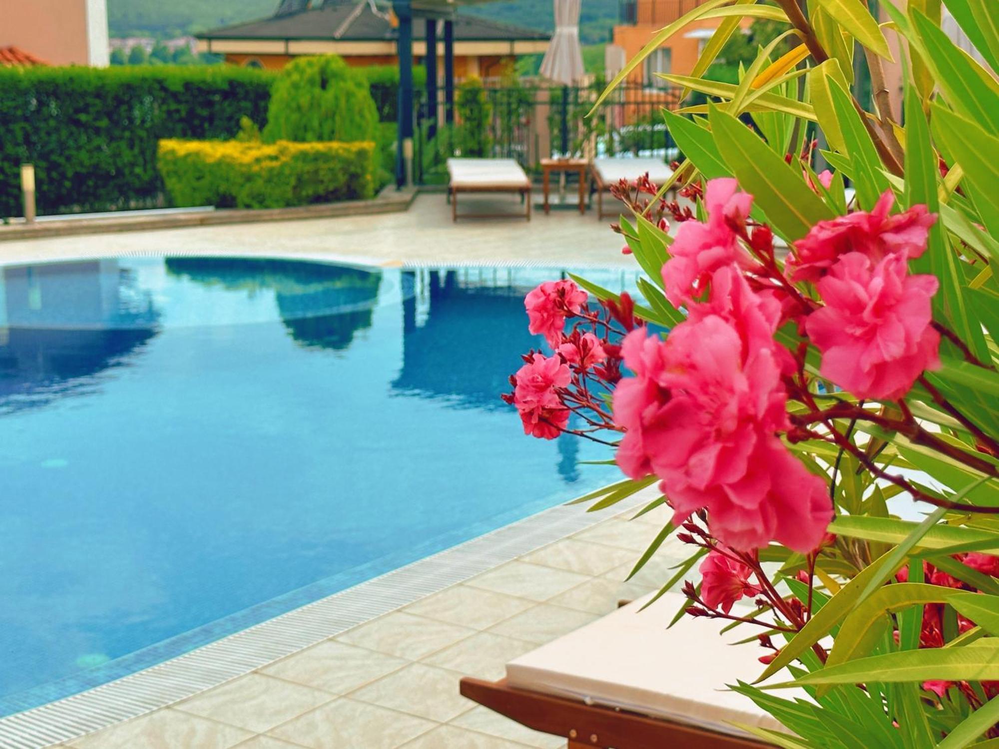 Villa Mia Созополь Екстер'єр фото
